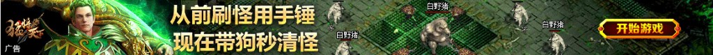 amp电路